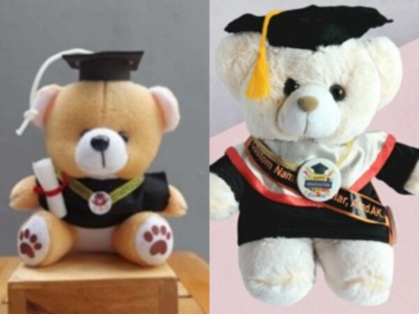 Boneka Wisuda Lucu